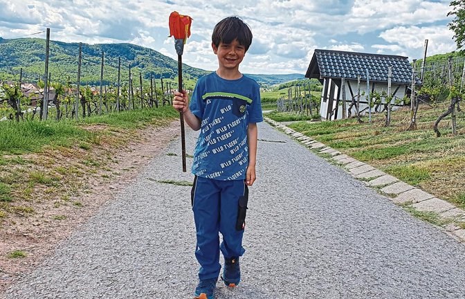 Raphael Hirsch aus der ersten Klasse der Kirbachschule sammelt beim virtuellen Lauf nach Tokio mit seiner selbstgebastelten Fackel Kilometer in den Hohenhaslacher Weinbergen.  Foto: Glemser