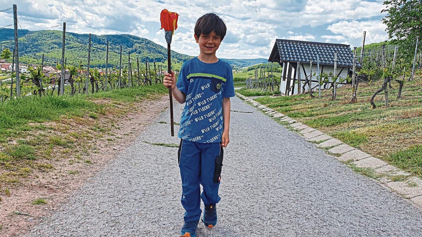 Raphael Hirsch aus der ersten Klasse der Kirbachschule sammelt beim virtuellen Lauf nach Tokio mit seiner selbstgebastelten Fackel Kilometer in den Hohenhaslacher Weinbergen.  Foto: Glemser