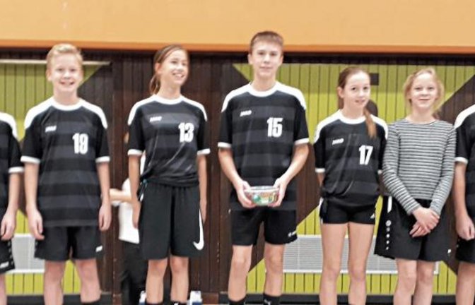 Erfolgreiche Enzweihinger Indiaca-Jugendspieler (von links): Fabio Steinmassl, Tim Voit, Klara Drasdow, Theo Sparmann, Paula Glinder, Amelie Voit und Fabian Bräuninger. Foto: privat