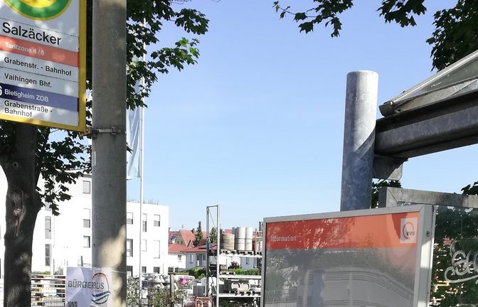 Wann fährt der Bus? Ein Fahrplan wäre nicht schlecht. Gesehen in der Stuttgarter Straße in Vaihingen, beim Bergle.  <span class='image-autor'>Foto: Arning</span>