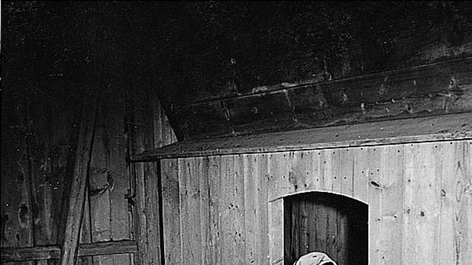 Die Familie Fischer profitiert von einer Sage, die man sich in der Gegend erzählt: Die Geschichte einer magischen Mühle, die alte Frauen wieder jung mahlt.Foto: Tripsdrill