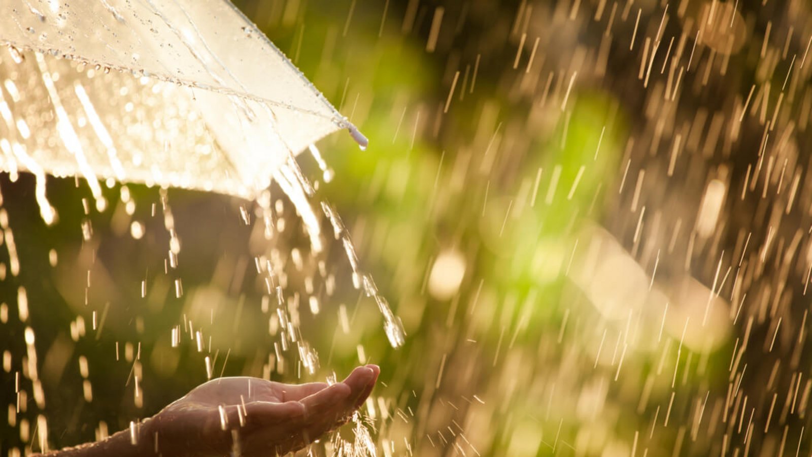 In diesem Artikel zeigen wir Ihnen 40 Ideen, was Sie bei Regenwetter machen können. Die besten Tipps für schlechtes Wetter mit und ohne Geld.Foto: A3pfamily / Shutterstock.com In diesem Artikel zeigen wir Ihnen 40 Ideen, was Sie bei Regenwetter machen können. Die besten Tipps für schlechtes Wetter mit und ohne Geld.Foto: A3pfamily / Shutterstock.com