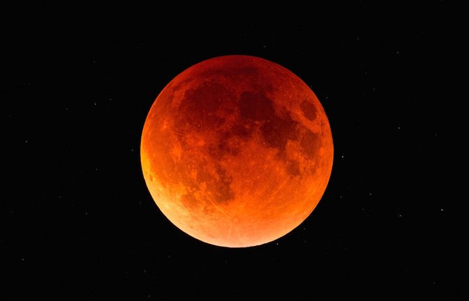 In diesem Artikel erfahren Sie, wie oft die verschiedenen Mondfinsternisse sowohl weltweit, als auch in Deutschland zu sehen sind.<span class='image-autor'>Foto: Chris Harwood / Shutterstock.com</span>