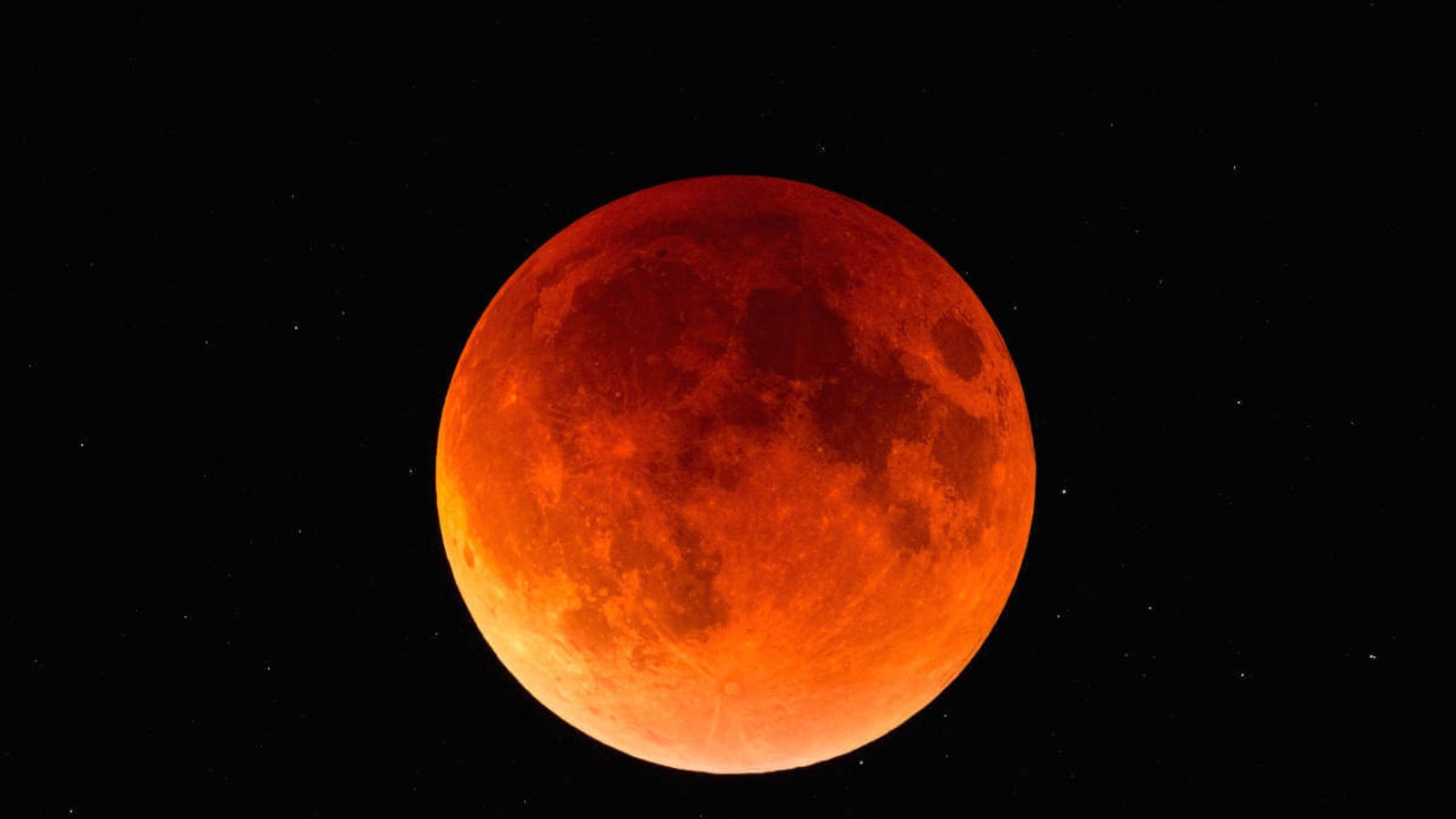 In diesem Artikel erfahren Sie, wie oft die verschiedenen Mondfinsternisse sowohl weltweit, als auch in Deutschland zu sehen sind.Foto: Chris Harwood / Shutterstock.com