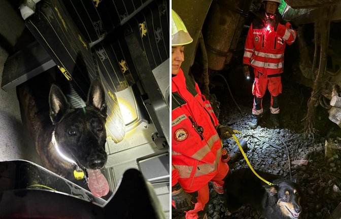 Der Einsatz in den völlig zerstörten Triebwägen ist für die Tiere nicht ungefährlich.<span class='image-autor'>Foto: Rettungshundestaffel der Feuerwehr Ulm</span>