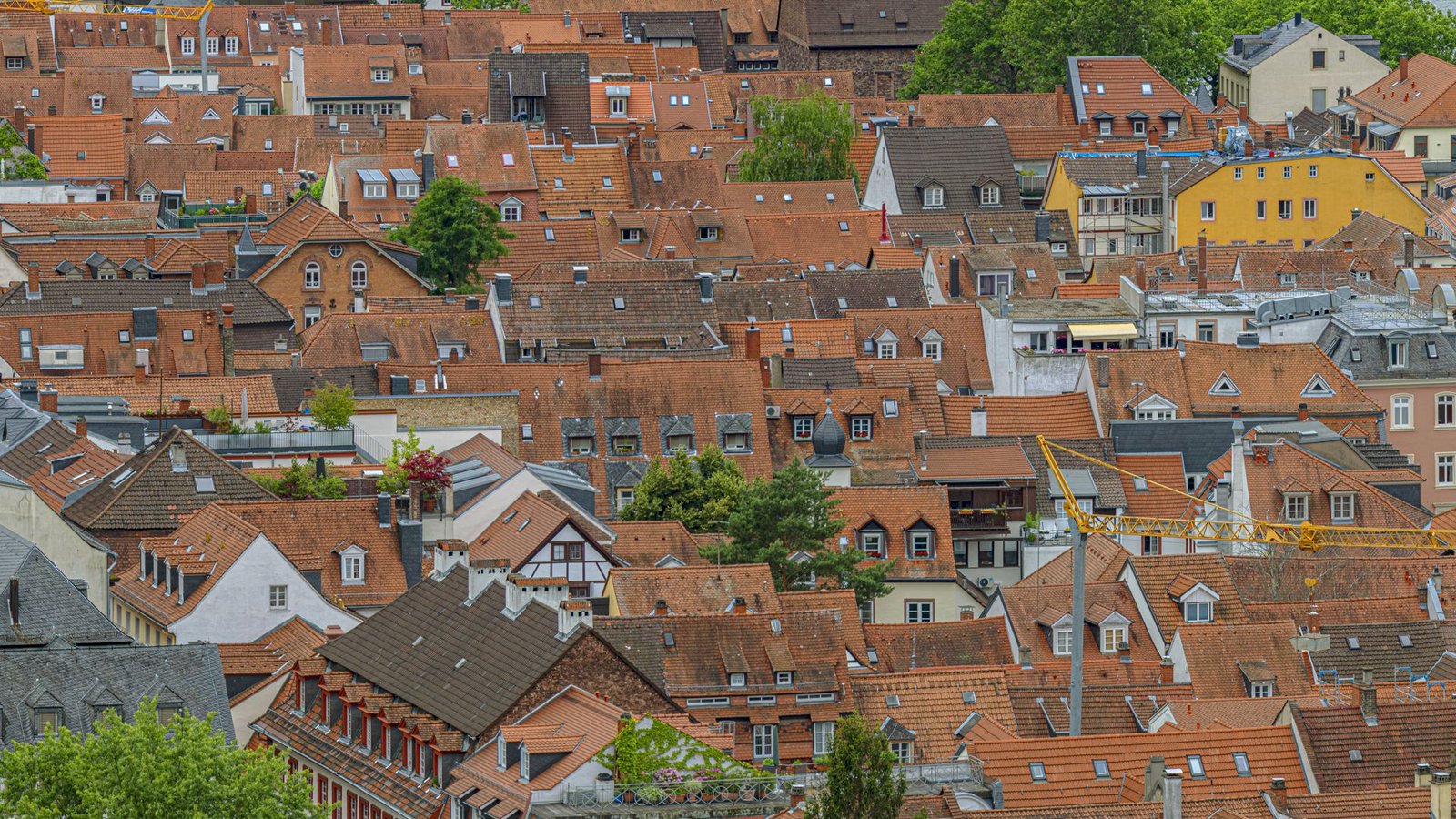 Hausdächer in der Heidelberger Altstadt (Symbolbild)Foto: IMAGO/Norbert Neetz/IMAGO/Norbert Neetz