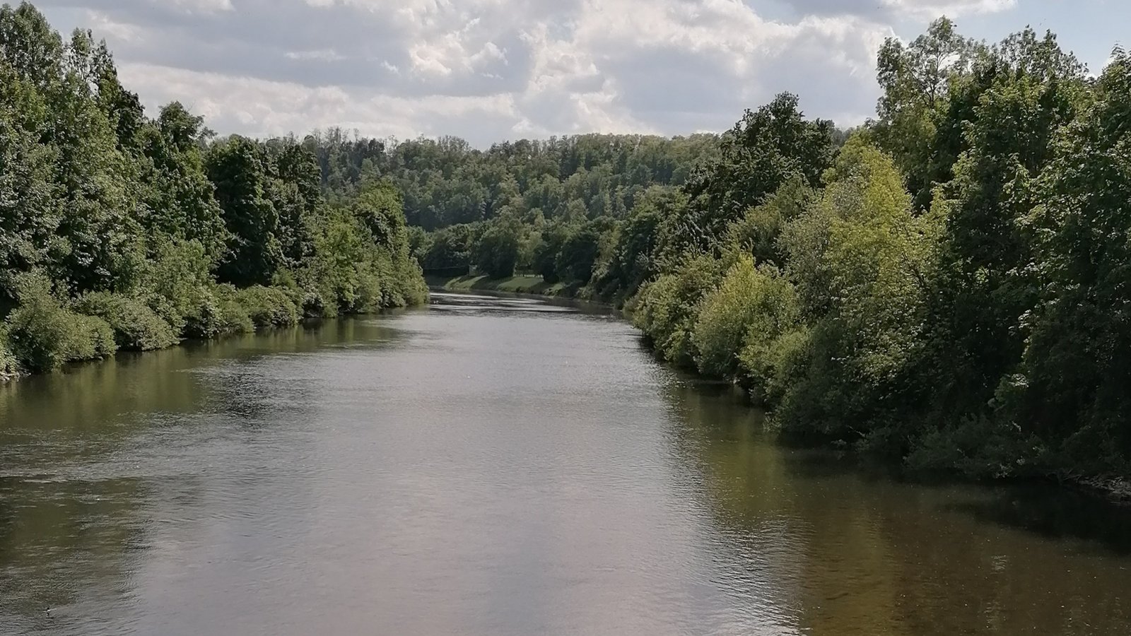 Der niedrige Wasserpegel der Enz bei Vaihingen scheint diesen Schwan nicht zu stören. Er nutzt die kleine Sandbank mitten im Fluss für ein Nickerchen.  Foto: Banholzer