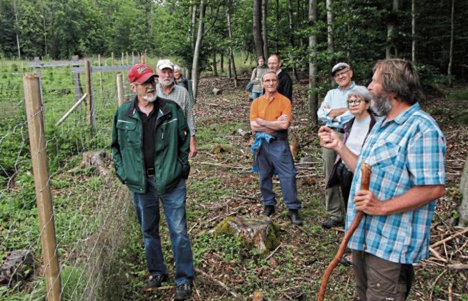 Roland Fischer (rechts) vom Alpenverein Sektion Ludwigsburg führte gestern exklusiv VKZ-Leser zur Aufforstungsfläche im Pulverdinger Holz, wo Vereinsmitglieder auf einem Hektar 2200 junge Bäume gepflanzt haben – als Ausgleich für den eigenen ökologischen Fußabdruck (die VKZ berichtete). Die Teilnehmer erfuhren unterwegs Wissenswertes über die Geschichte der Mammutbäume im Land, über die jährliche Eichensubmission im Pulverdinger Holz oder über die Eigenschaften verschiedener Baumarten. Foto: Banholzer