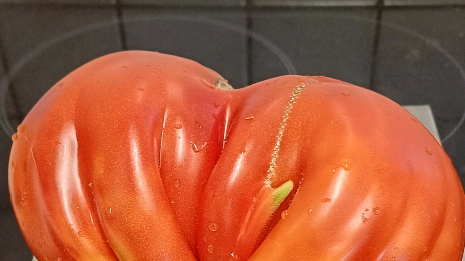 Über ein Prachtexemplar eines „Ochsenherzens“, einer Fleischtomate, freut sich Hedie Ramstein aus Pinache. Sie kann außerdem riesige Sonnenblumen und Pfundstomaten vorweisen. Das habe es so in ihrem Garten noch nie gegeben. Alles ohne Kunstdünger, nur mit paar Hornspänen, berichtet sie.  Foto: o