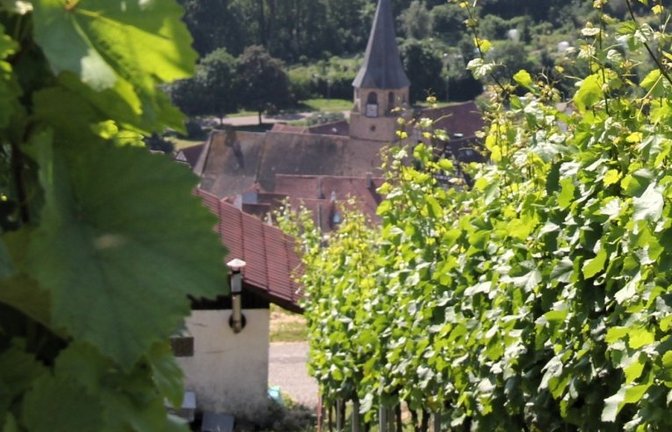 Sorgen um die Steillagen. Archivfoto: VKZ/dok