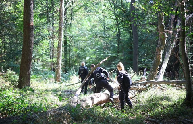 Nach Fällen von Strom-Sabotage sucht die Polizei am Hambacher Forst nach dem Tatverdächtigen.<span class='image-autor'>Christoph Reichwein/dpa</span>