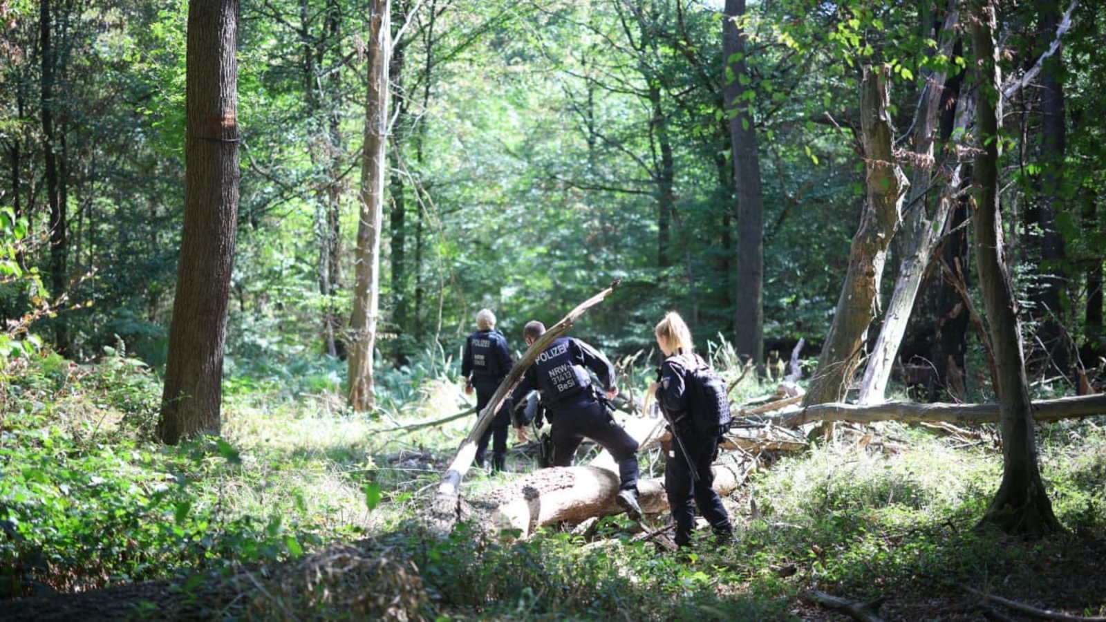 Nach Fällen von Strom-Sabotage sucht die Polizei am Hambacher Forst nach dem Tatverdächtigen.Christoph Reichwein/dpa Nach Fällen von Strom-Sabotage sucht die Polizei am Hambacher Forst nach dem Tatverdächtigen.Christoph Reichwein/dpa