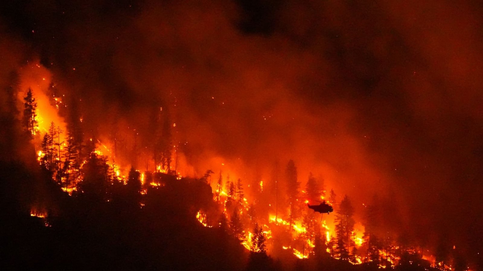 Wegen schwerer, sich rasant ausbreitender Waldbrände hat die westkanadische Provinz British Columbia den Notstand ausgerufen.Darryl Dyck/The Canadian Press via AP/dpa Wegen schwerer, sich rasant ausbreitender Waldbrände hat die westkanadische Provinz British Columbia den Notstand ausgerufen.Darryl Dyck/The Canadian Press via AP/dpa