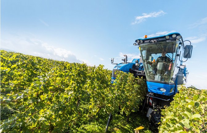 Bis zur Ernte der Weinreben muss häufig gespritzt werden – die EU will die Menge an Pestiziden nun deutlich verringern.<span class='image-autor'>Foto: dpa/Philipp von Ditfurth</span>