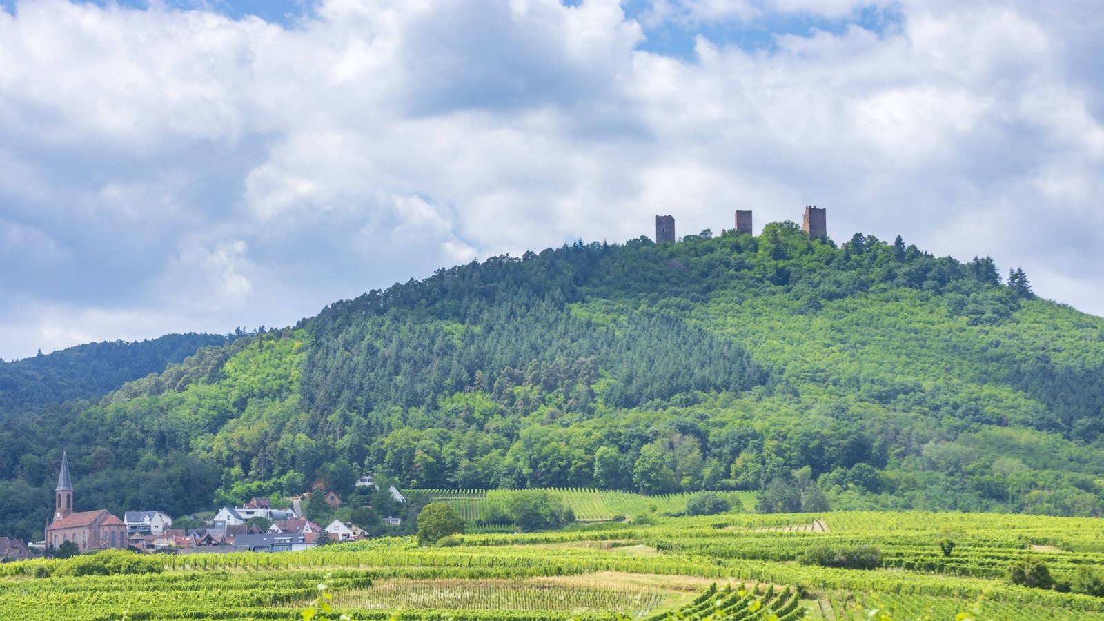 Wer in Eguisheim ist, sollte eine Wanderung zu den „drei Exen“ einplanen. Die drei Burgen Dagsburg, Wahlenburg und Burg Weckmund stehen auf dem selben Bergrücken der Vogesen – von hier hat man einen herrlichen Blick über das Land mit seinen lieblichen Weinhängen.Foto: IMAGO/Volker Preußer/IMAGO/Volker Preusser Wer in Eguisheim ist, sollte eine Wanderung zu den „drei Exen“ einplanen. Die drei Burgen Dagsburg, Wahlenburg und Burg Weckmund stehen auf dem selben Bergrücken der Vogesen – von hier hat man einen herrlichen Blick über das Land mit seinen lieblichen Weinhängen.Foto: IMAGO/Volker Preußer/IMAGO/Volker Preusser