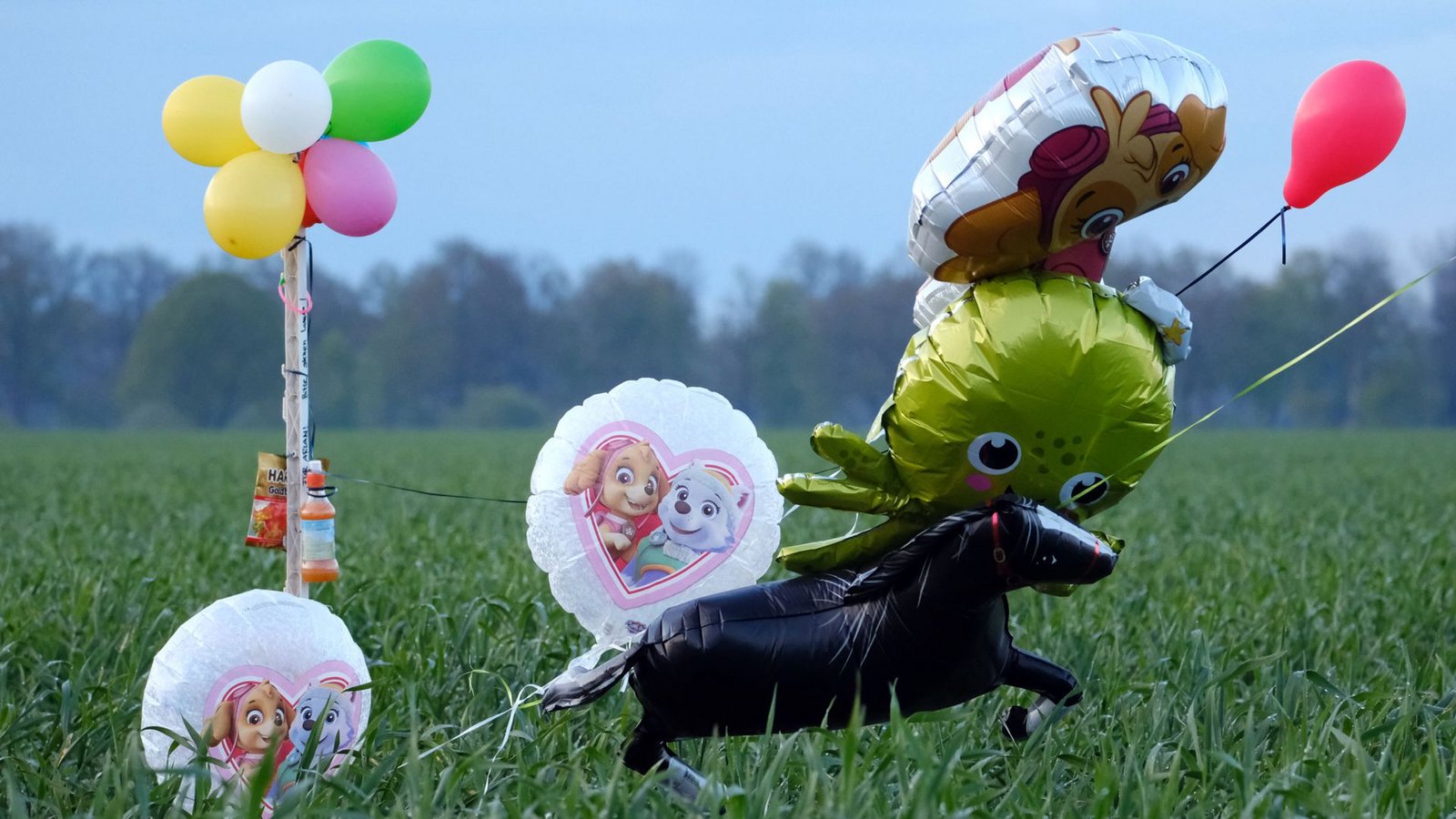 Die Polizei versucht mit Ballons und Süßigkeiten die Aufmerksamkeit des vermissten  Jungen zu gewinnen, der Autist ist.Foto: dpa/Markus Hibbeler
