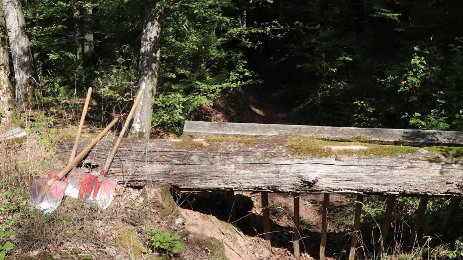 Einer der Rechen in den Wassergräben, welche auch wieder ertüchtigt wurden.