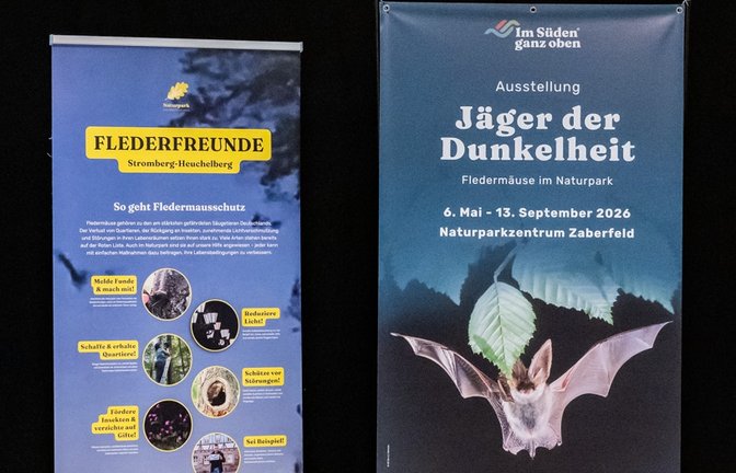 Die Schau gibt einen Vorgeschmack auf die Fledermausausstellung, die ab Mai im Naturparkzentrum zu sehen sein wird.  <span class='image-autor'>Foto: LL</span>