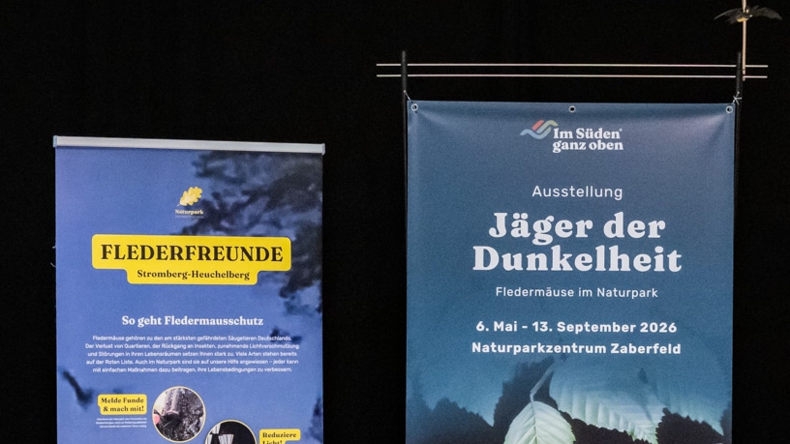 Die Schau gibt einen Vorgeschmack auf die Fledermausausstellung, die ab Mai im Naturparkzentrum zu sehen sein wird.  Foto: LL