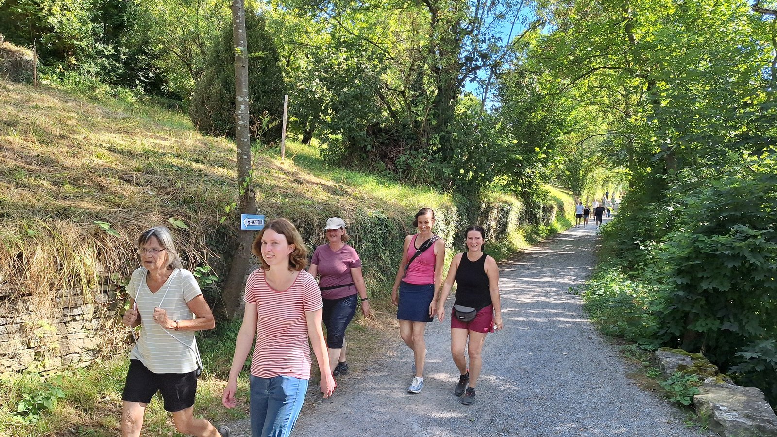 Die Wanderung der 44. S-VKZ-Tour.