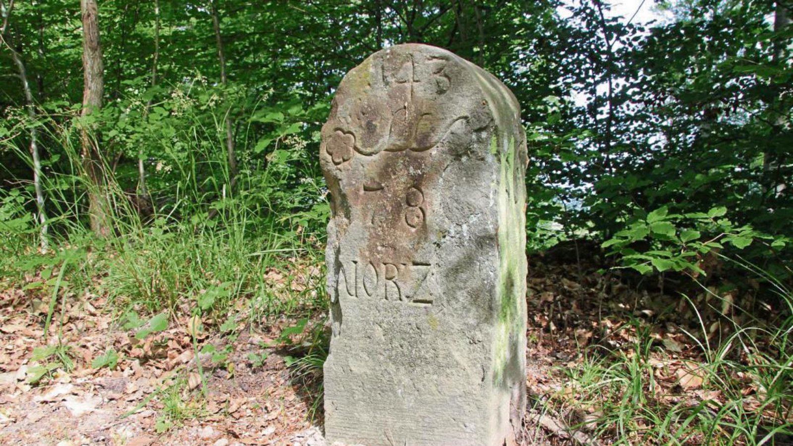Den Grenzstein am Rennweg zwischen Eselsburg und Kloster Maulbronn ziert die Geweihstange der Herzoge von Teck.  Fotos: Thaler