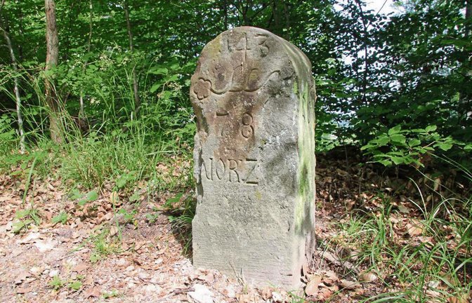 Den Grenzstein am Rennweg zwischen Eselsburg und Kloster Maulbronn ziert die Geweihstange der Herzoge von Teck.  Fotos: Thaler