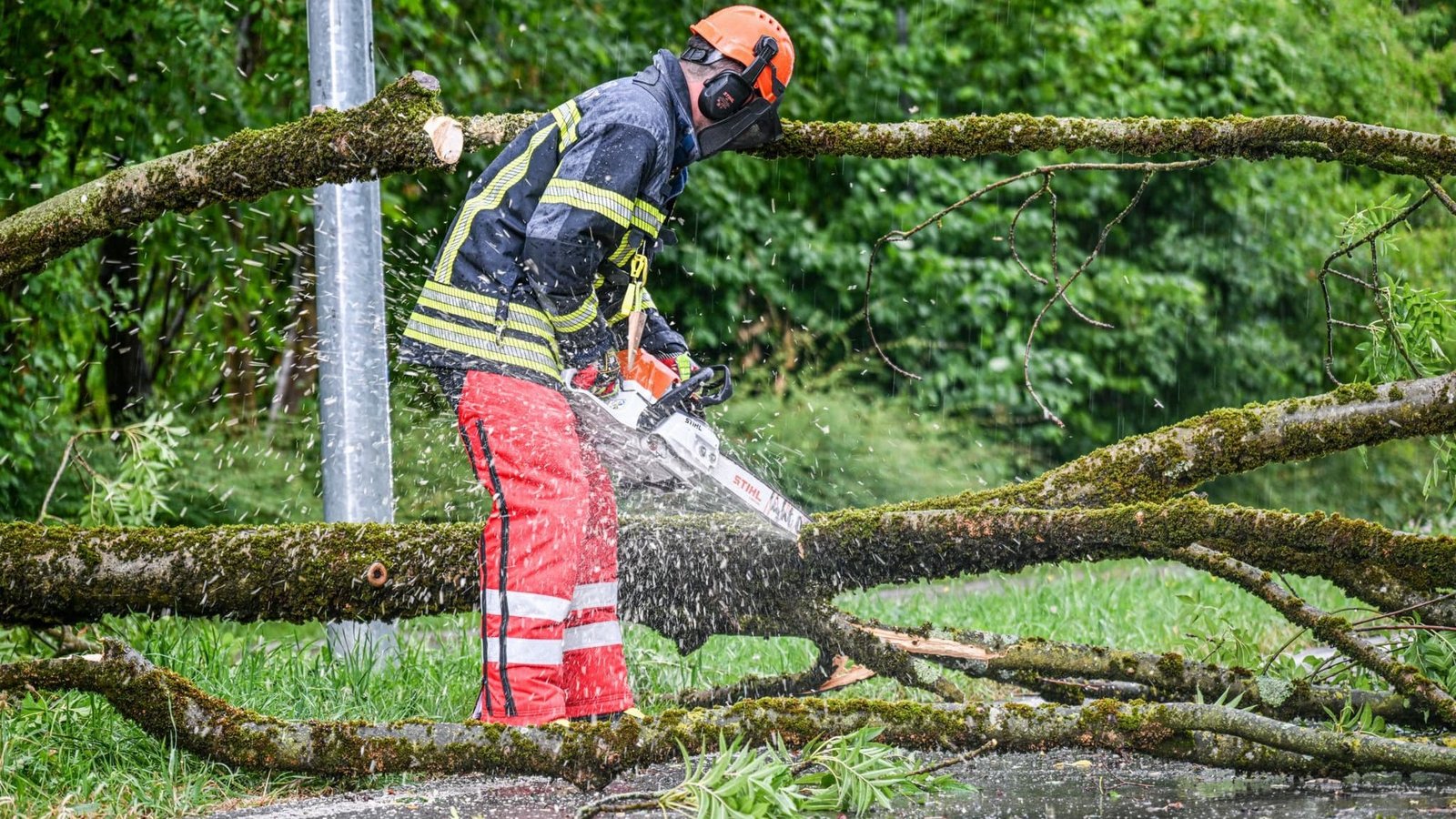 Umgestürzte Bäume beschäftigen in der Nacht die Feuerwehr. (Symbolbild)Jason Tschepljakow/dpa Umgestürzte Bäume beschäftigen in der Nacht die Feuerwehr. (Symbolbild)Jason Tschepljakow/dpa