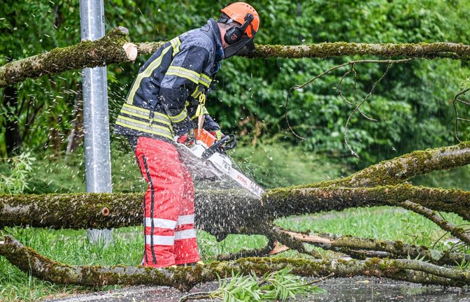 Umgestürzte Bäume beschäftigen in der Nacht die Feuerwehr. (Symbolbild)<span class='image-autor'>Jason Tschepljakow/dpa</span>