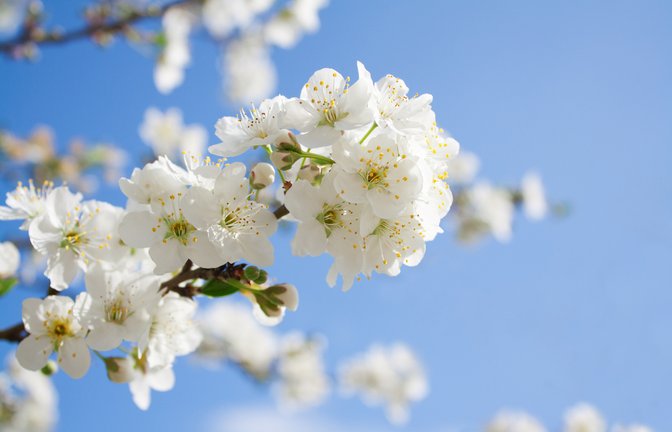 Wann wird es wieder wärmer? Ein Überblick über die aktuelle Wetterlage in Deutschland und die Aussichten für die kommenden Tage.<span class='image-autor'>Foto: Iryna Denysova / Shutterstock.com</span>