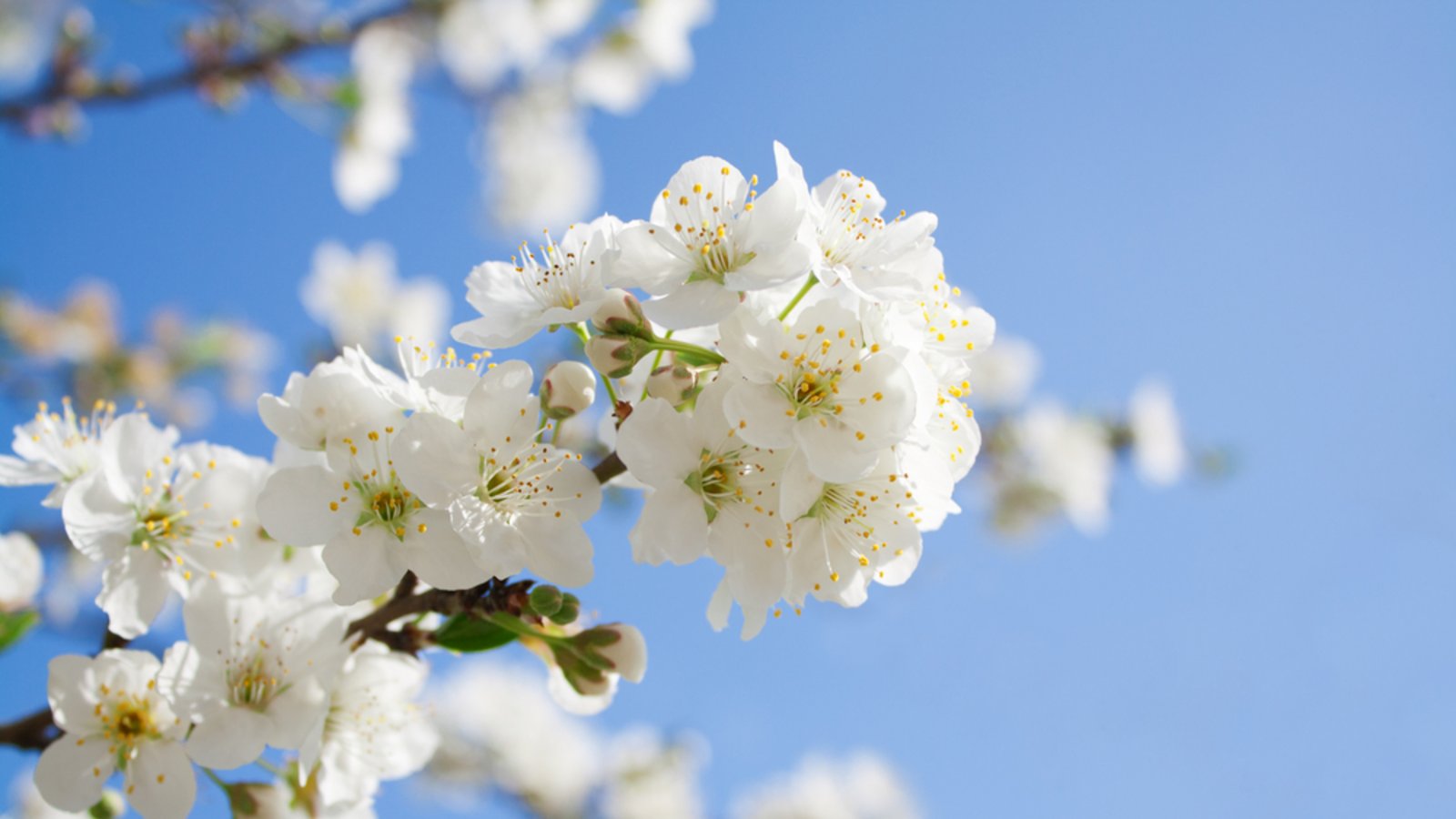 Wann wird es wieder wärmer? Ein Überblick über die aktuelle Wetterlage in Deutschland und die Aussichten für die kommenden Tage.Foto: Iryna Denysova / Shutterstock.com Wann wird es wieder wärmer? Ein Überblick über die aktuelle Wetterlage in Deutschland und die Aussichten für die kommenden Tage.Foto: Iryna Denysova / Shutterstock.com