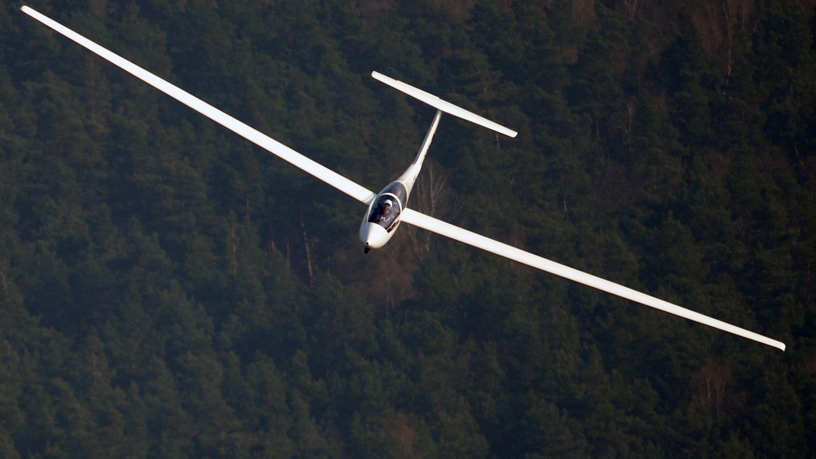 Der Pilot war mit dem Segelflugzeug abgestürzt. (Symbolbild)Foto: dpa Der Pilot war mit dem Segelflugzeug abgestürzt. (Symbolbild)Foto: dpa