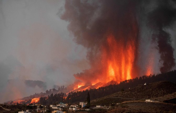Foto: AFP/Desiree Martin