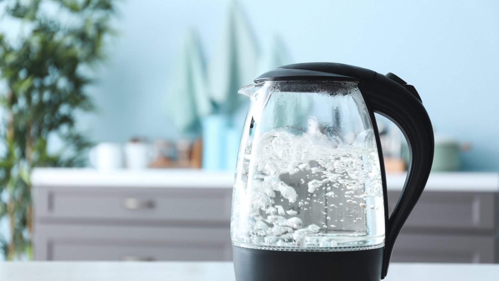 sparsam, schnell und effizient: Mit welchem Gerät koche ich am besten Wasser?Foto: Pixel-Shot / shutterstock.com sparsam, schnell und effizient: Mit welchem Gerät koche ich am besten Wasser?Foto: Pixel-Shot / shutterstock.com