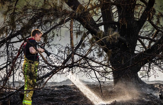 Zur Bekämpfung der Flammen baten die Niederlande nach Angaben der Behörden zum ersten Mal auch andere Länder um Hilfe.<span class='image-autor'>Foto: Rob Engelaar/ANP/dpa</span>