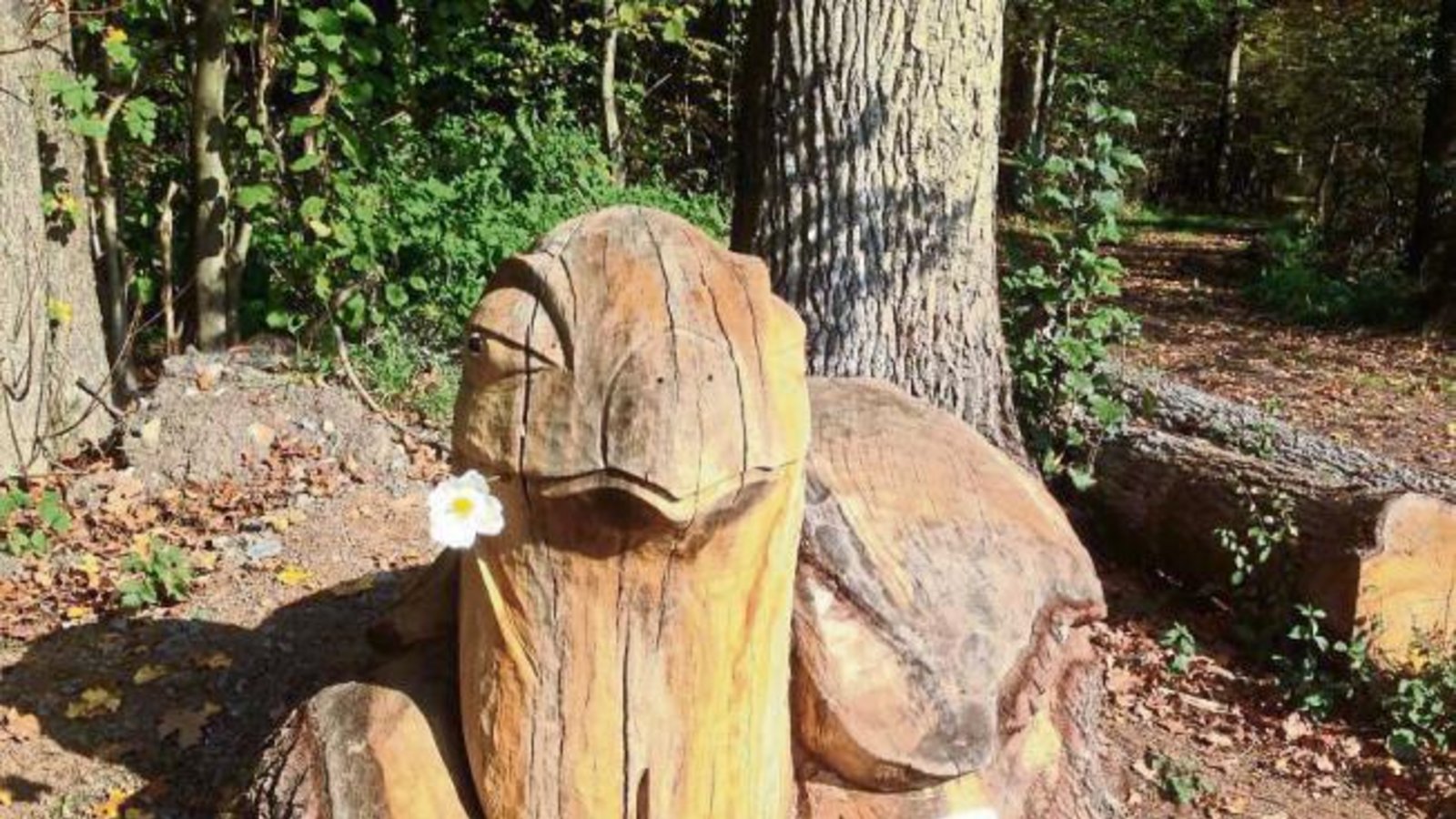 Eine neckische Begegnung im Illinger Wald, fotografiert von Siegrun Arleth.