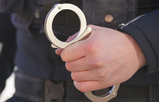Die Polizei konnte den Verdächtigen festnehmen. (Symbolbild)<span class='image-autor'>Foto: Marcus Brandt/dpa</span>