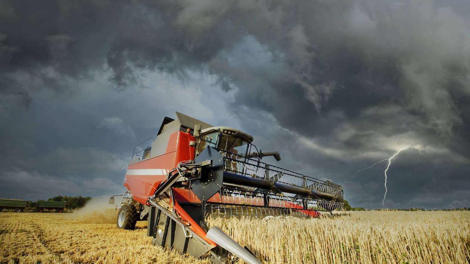 Viele Landwirte sehen dunkle Wolken am Horizont.Foto: imago/countrypixel