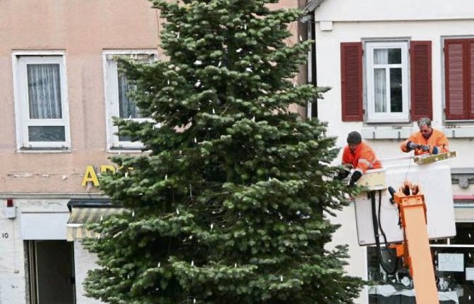 Die Lichter sind platziert, jetzt kann der Vaihinger Baum erstrahlen. Foto: Rücker
