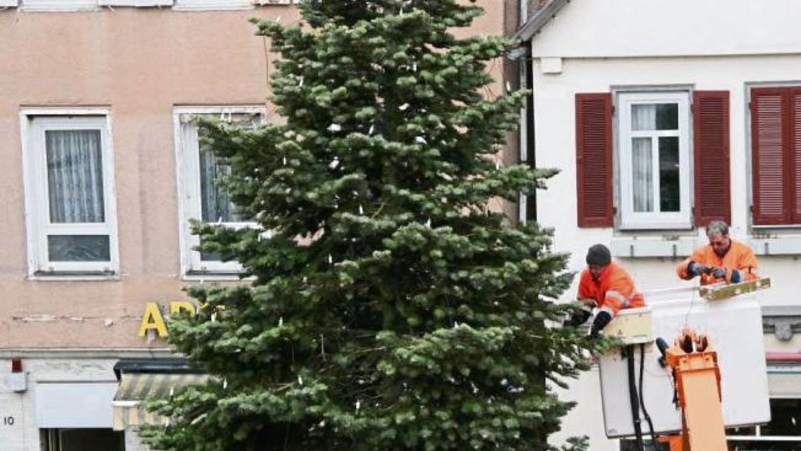 Die Lichter sind platziert, jetzt kann der Vaihinger Baum erstrahlen. Foto: Rücker