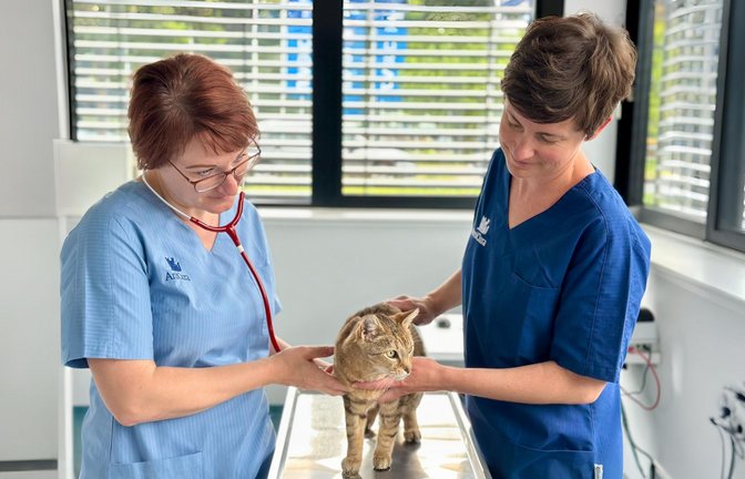 Für die Tierärztinnen Katharina Möhler und Helene Enns gehört der Umgang mit Anfeindungen in der Tierklinik Heilbronn inzwischen zum Alltag.<span class='image-autor'>Foto: Marie Part</span>