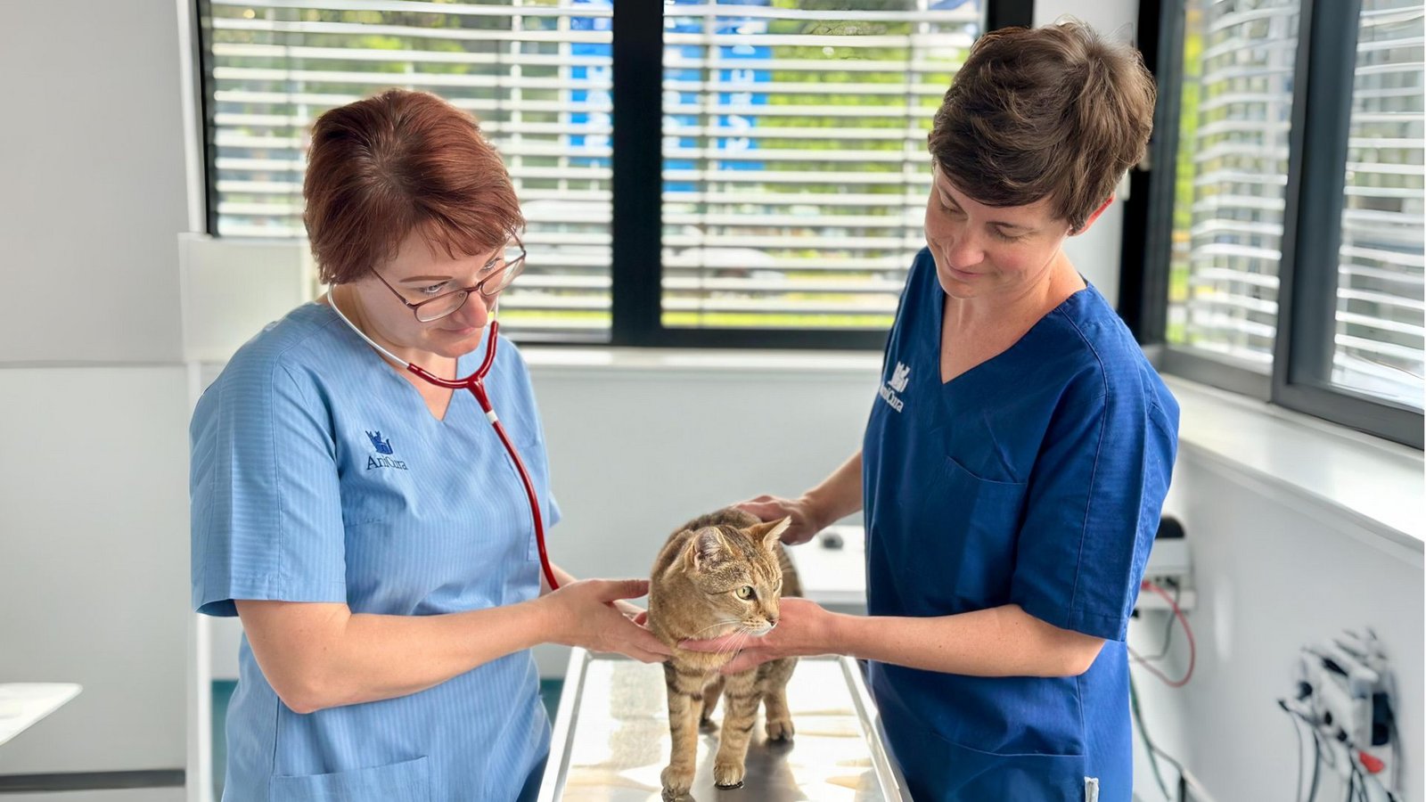 Für die Tierärztinnen Katharina Möhler und Helene Enns gehört der Umgang mit Anfeindungen in der Tierklinik Heilbronn inzwischen zum Alltag.Foto: Marie Part Für die Tierärztinnen Katharina Möhler und Helene Enns gehört der Umgang mit Anfeindungen in der Tierklinik Heilbronn inzwischen zum Alltag.Foto: Marie Part