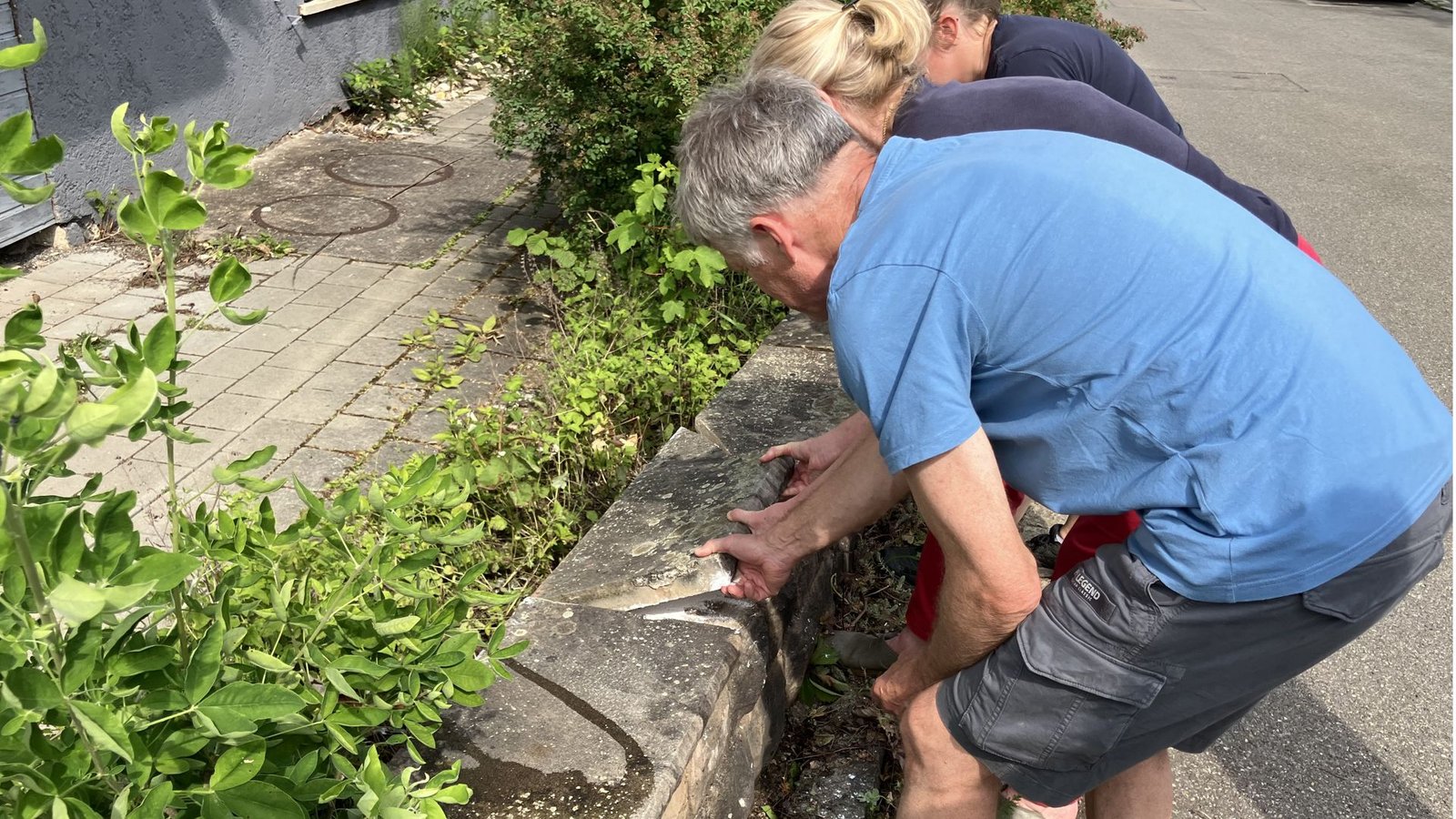 Der Biologe Christian Wolff verabredet sich regelmäßig mit seinen Nachbarinnen, um die betroffenen Stellen abzulaufen.Foto: StZN/Dürr Der Biologe Christian Wolff verabredet sich regelmäßig mit seinen Nachbarinnen, um die betroffenen Stellen abzulaufen.Foto: StZN/Dürr