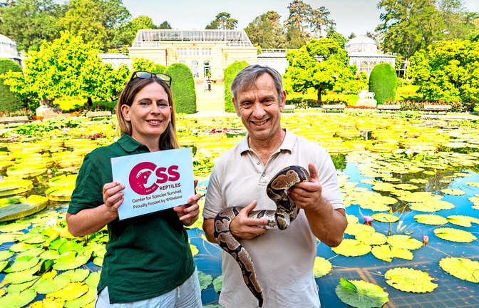 Stefanie Reska, die Leiterin der Stabsstelle Artenschutz, und der Wilhelma-Direktor Thomas Kölpin, mit einer Königspython im Maurischen Garten.<span class='image-autor'>Foto: Wilhelma/Birger Meierjohann</span>