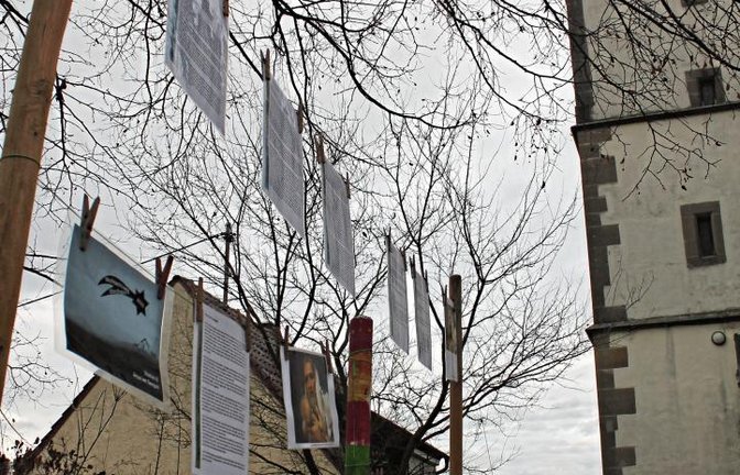 Der Weihnachtsweg in Eberdingen. Foto: Pfisterer