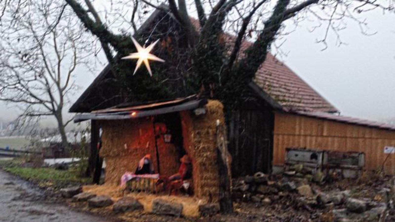An der Einfahrt zum Nussdorfer Reitverein haben Claudia und Frank Schneider dieses weihnachtliche Motiv entdeckt. An der Einfahrt zum Nussdorfer Reitverein haben Claudia und Frank Schneider dieses weihnachtliche Motiv entdeckt.