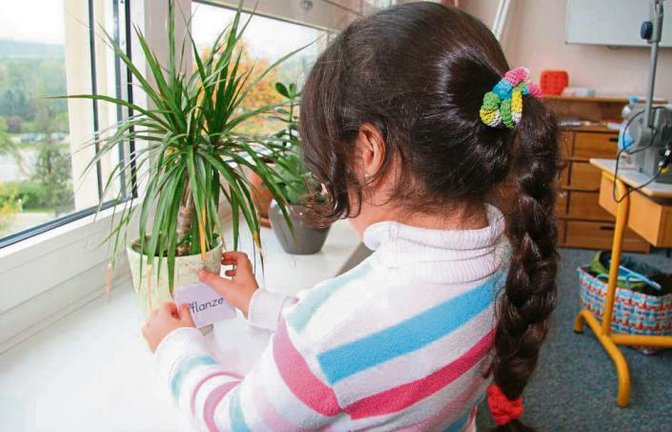Geschafft! Der Zettel mit dem Begriff „Pflanze“ gehört an den Blumentopf.