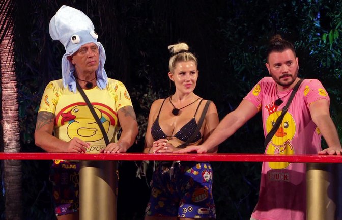 Frank, Laura und Bela haben eine ganz besondere Aufgabe.<span class='image-autor'>Foto: RTLZWEI</span>