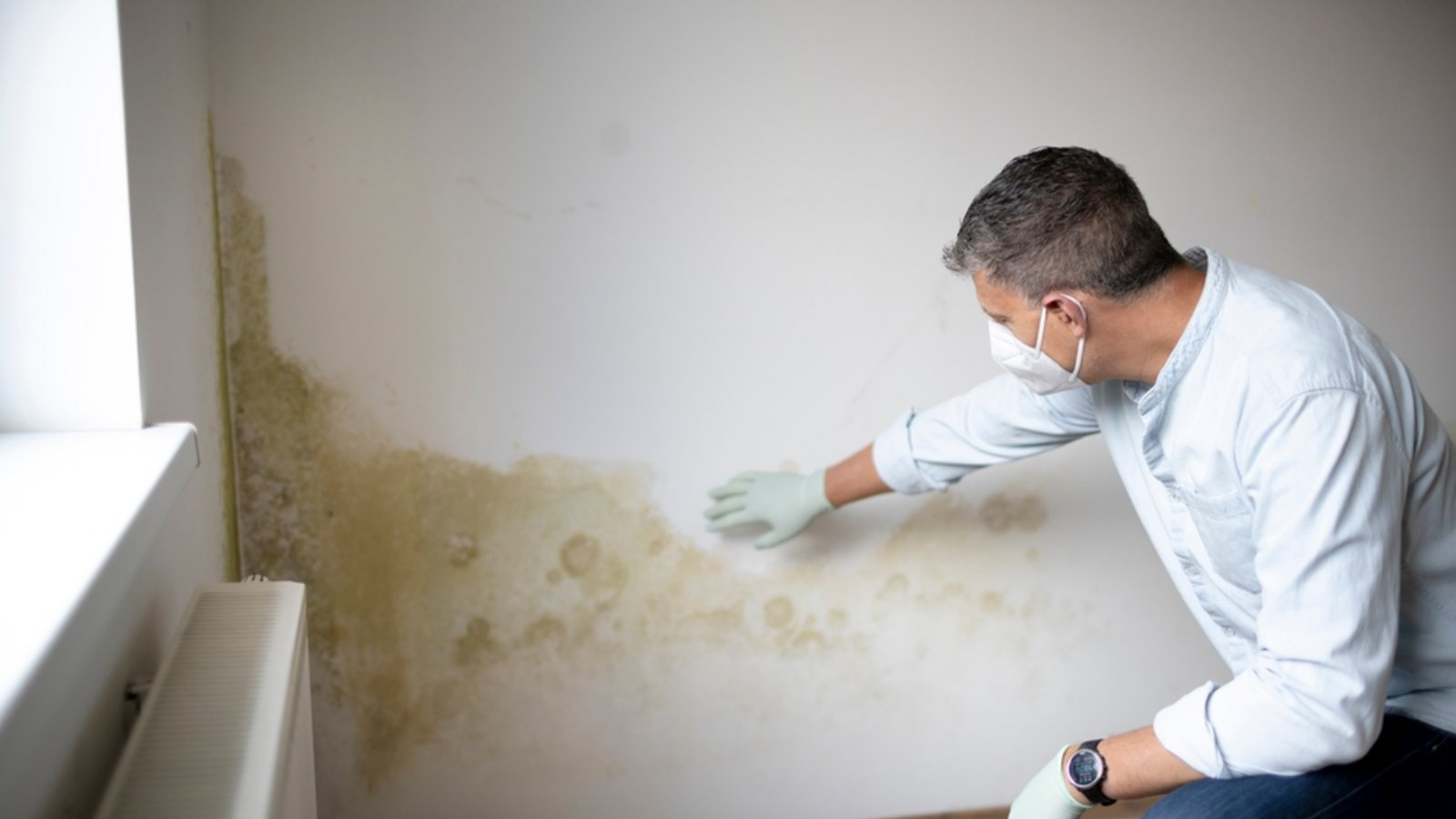 Schimmel kann auch schon in geringerem Ausmaße bedenklich sein.Foto: epiximages / shutterstock.com Schimmel kann auch schon in geringerem Ausmaße bedenklich sein.Foto: epiximages / shutterstock.com