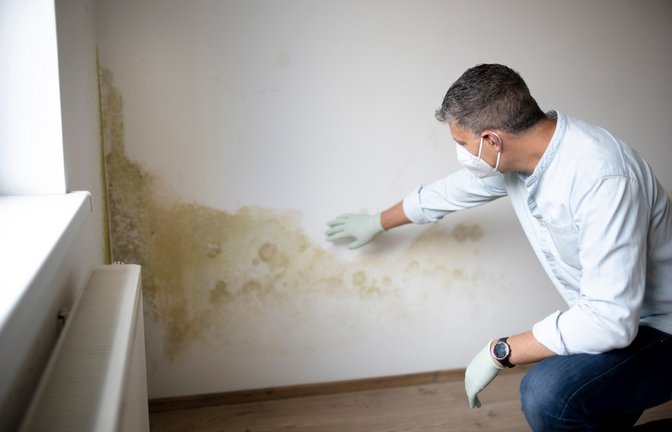 Schimmel kann auch schon in geringerem Ausmaße bedenklich sein.<span class='image-autor'>Foto: epiximages / shutterstock.com</span>