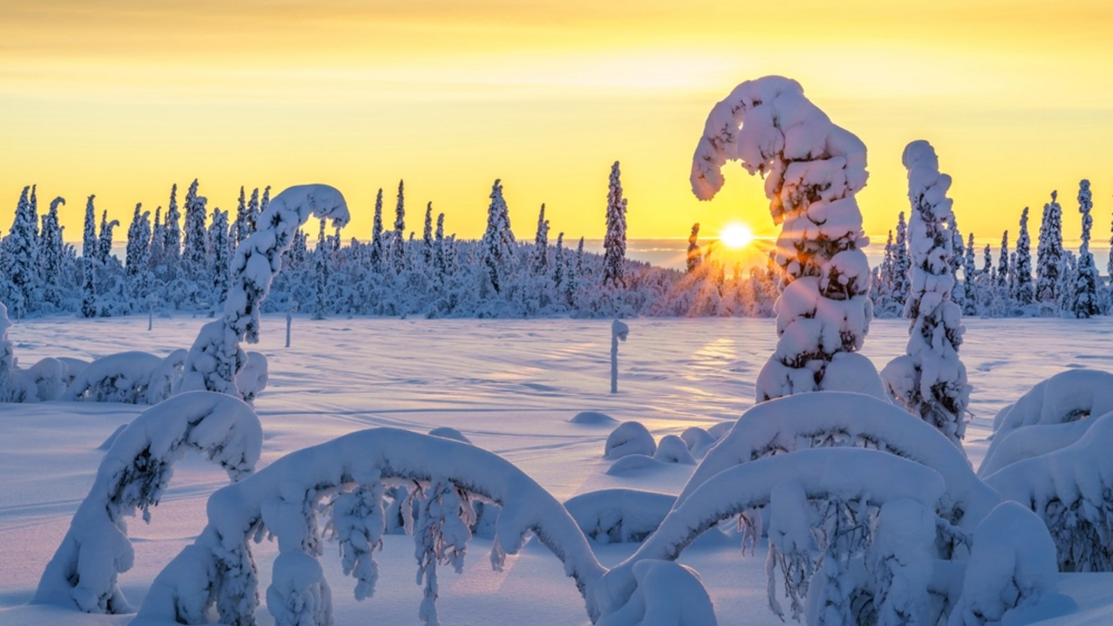 Arctic Warrior wird in Finnland gedreht.Foto: Mats Lindberg / shutterstock.com Arctic Warrior wird in Finnland gedreht.Foto: Mats Lindberg / shutterstock.com